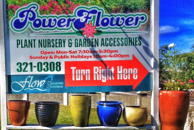 Power Flower Ltd. Power Flower Ltd. Cayman Islands