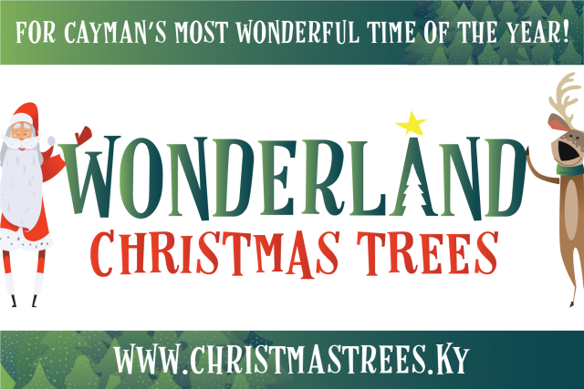 Wonderland Christmas Trees Wonderland Christmas Trees Cayman Islands